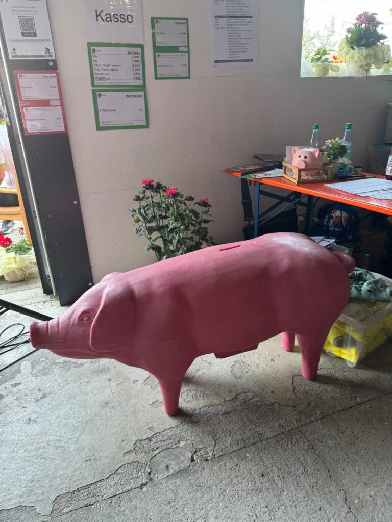 Schwein gehabt